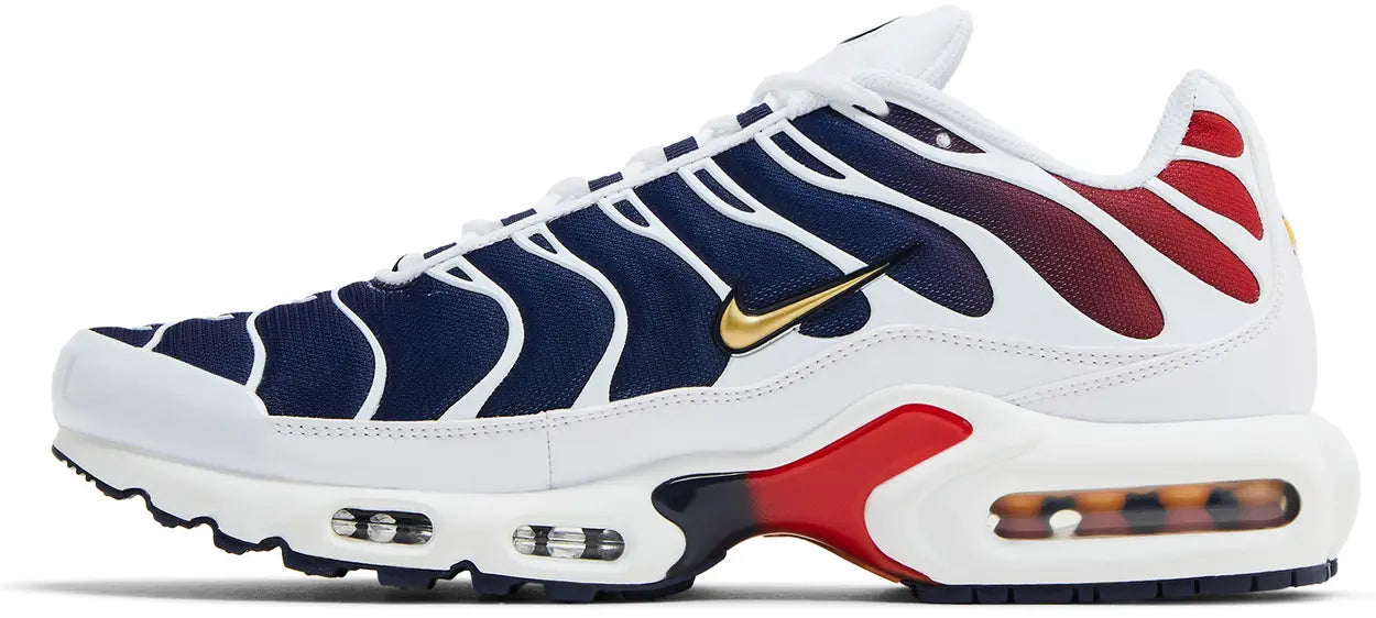 AIR MAX PLUS PSG