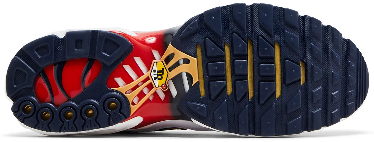 AIR MAX PLUS PSG