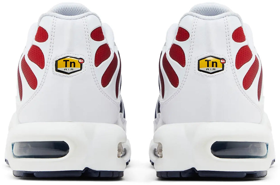 AIR MAX PLUS PSG